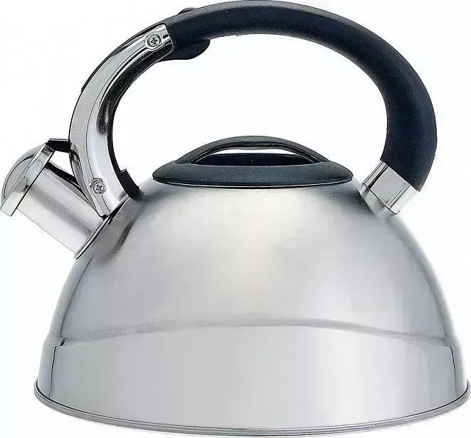 Чайник для плиты Alpenkok AK-531