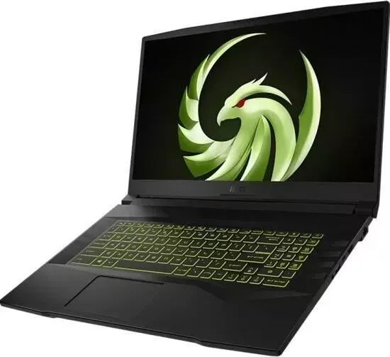 Ноутбук MSI Alpha 17 B5EEK-012RU Win 10 black (9S7-17LL12-012)