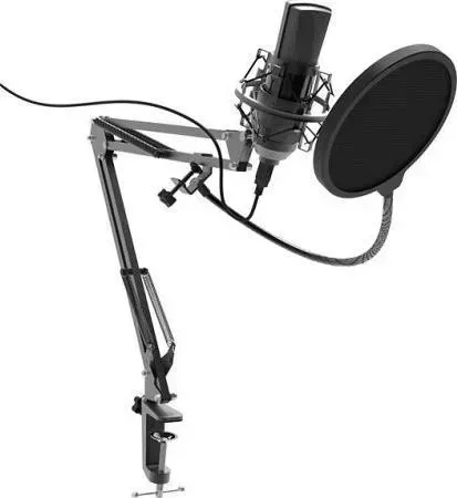 Микрофон RITMIX RDM-180 черный