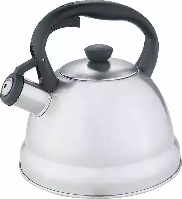 Чайник WEBBER BE-0577