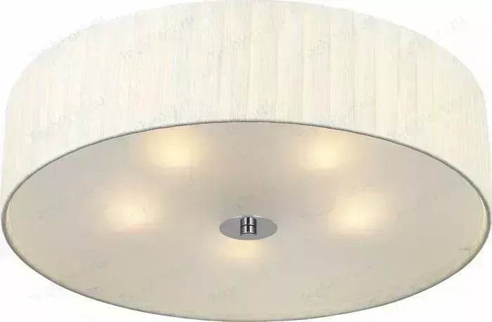 Потолочный светильник ST-Luce SL357.502.05