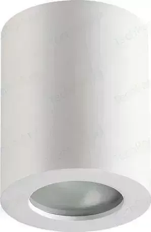 Потолочный светильник ODEON 3571/1C