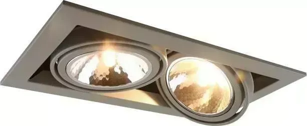 Встраиваемый светильник ARTELAMP A5949PL-2GY