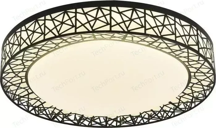 Потолочный светодиодный светильник F-Promo 2315-5C