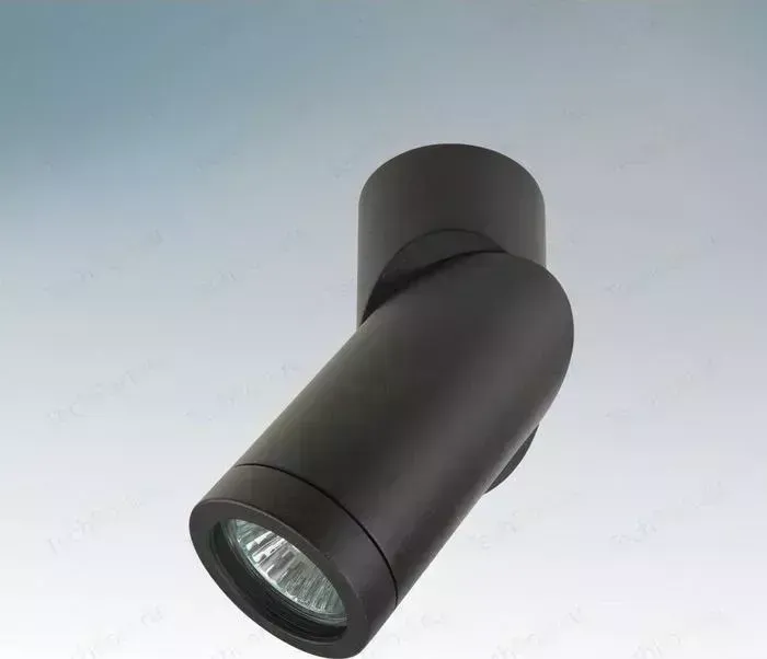 Спот Lightstar 051017