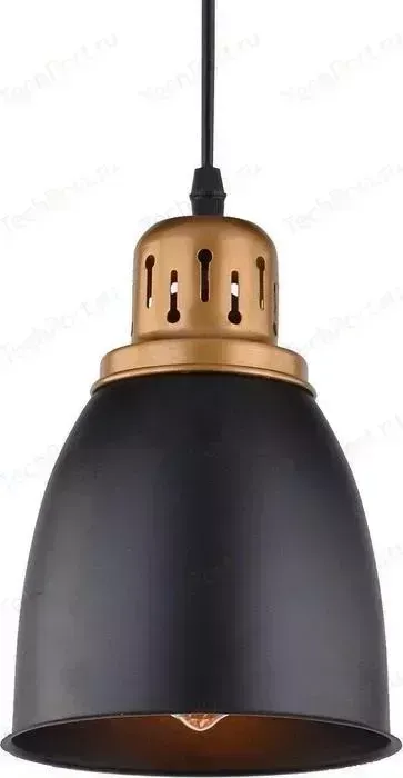 Подвесной светильник ARTELAMP A4248SP-1BK