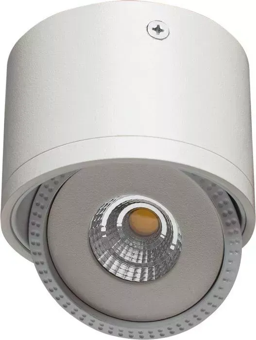 Потолочный светодиодный светильник ARTELAMP A4105PL-1WH
