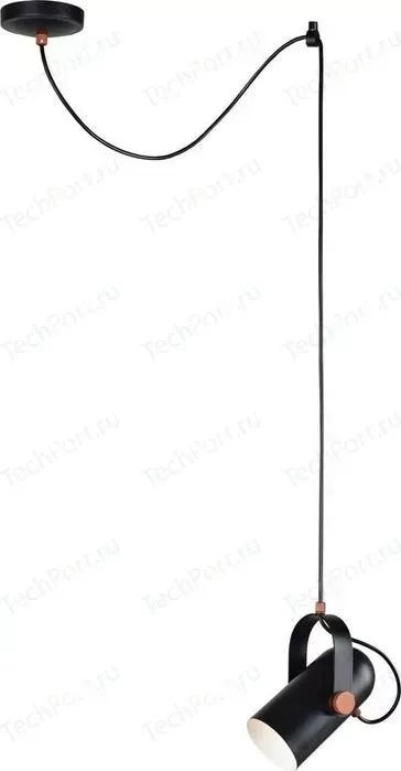 Подвесной светильник Favourite 2007-1P