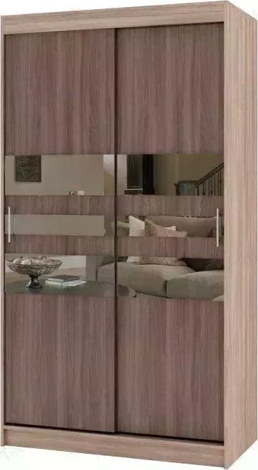 Шкаф-купе БАРОНС ГРУПП РИФ-2 зеркало вариант 6 200x80х60