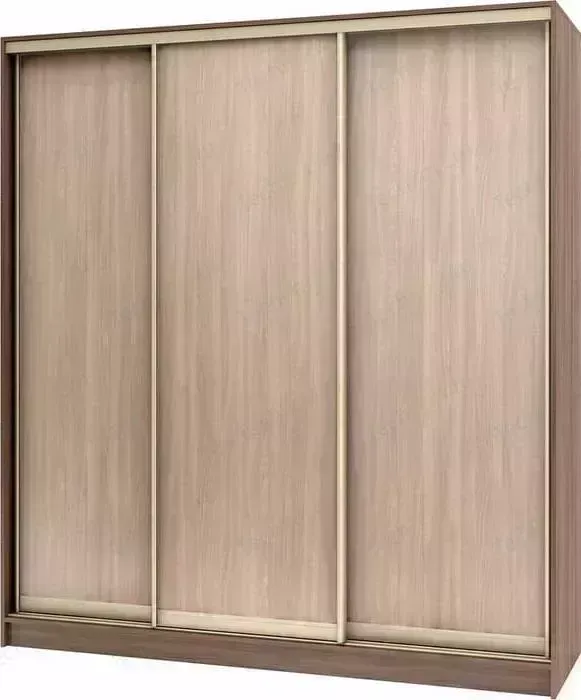 Шкаф-купе БАРОНС ГРУПП Стандарт 3 220x160x40