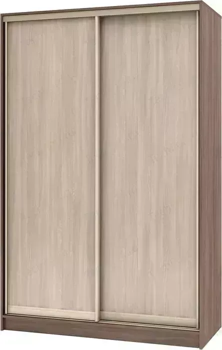 Шкаф-купе БАРОНС ГРУПП Стандарт-2 ( 2) 220x160x40