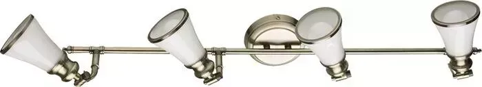 Спот ARTELAMP A9231PL-4AB