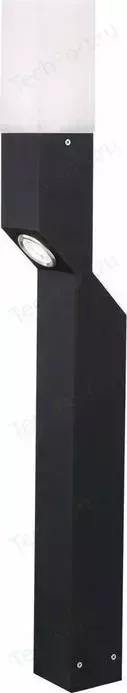 Уличный фонарь ST-Luce SL100.405.02