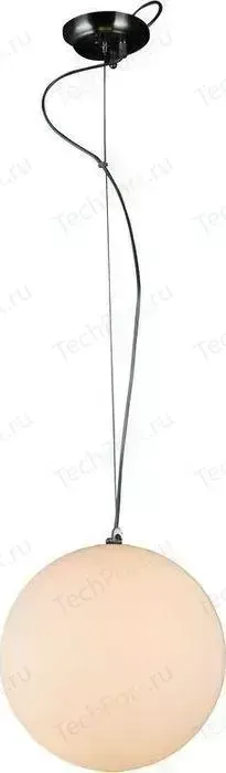 Потолочный светильник ST-Luce SL290.503.01