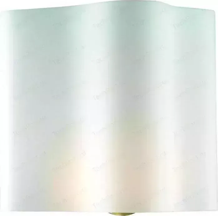 Настенный светильник ST-Luce SL116.511.01