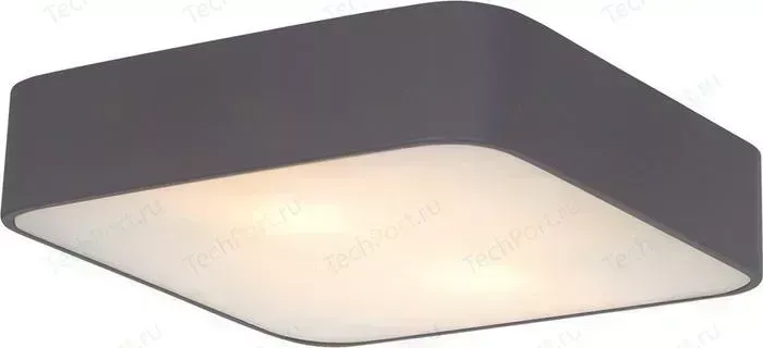 Потолочный светильник ARTELAMP A7210PL-2BK