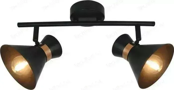Спот ARTELAMP A1406AP-2BK