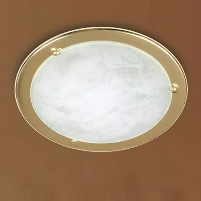 Потолочный светильник SONEX 121