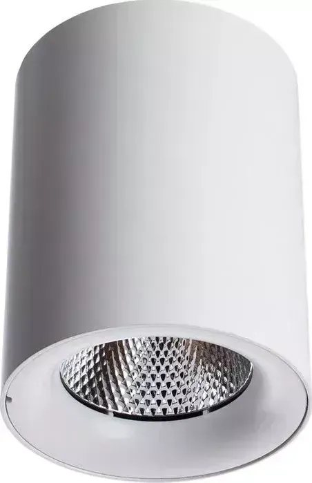 Потолочный светодиодный светильник ARTELAMP A5118PL-1WH
