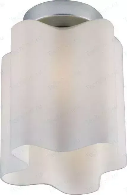 Потолочный светильник ST-Luce SL116.502.01