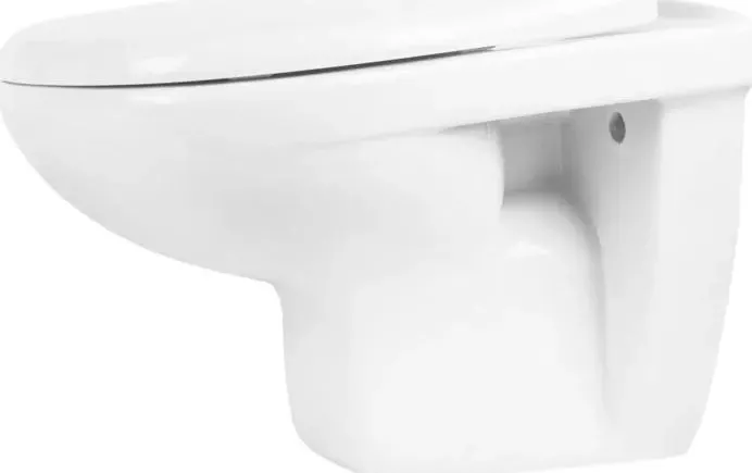 Унитаз подвесной Rosa Элеганс Люкс белый с микролифтом Click Up (4620008195438)