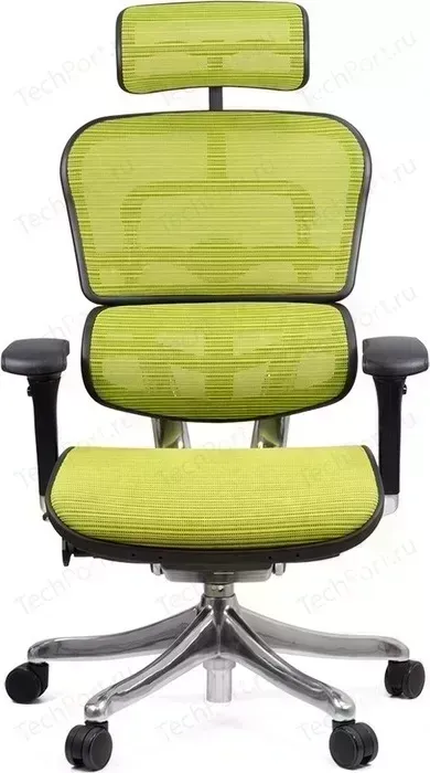 Кресло офисное Comfort Seating Group эргономичное EHPE-AB-HAM (Д) KMD-34 ergohuman plus elite green
