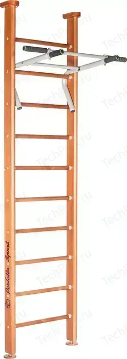 Детский спортивный комплекс PERFETTO SPORT Salute PS-101