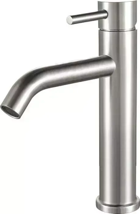 Смеситель для раковины AQUANET AF210-10S Steel (242966)
