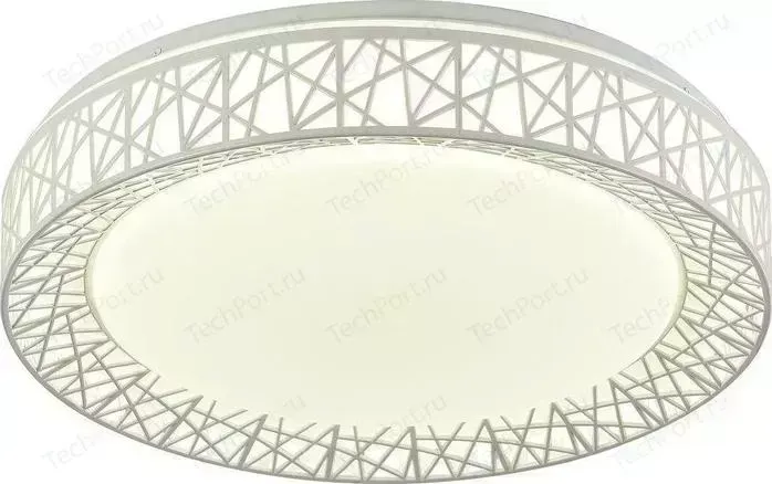 Потолочный светодиодный светильник F-Promo 2314-5C