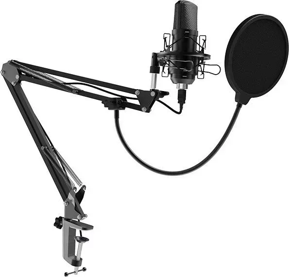 Настольный микрофон для записи голоса и вокала RITMIX RDM-169 USB