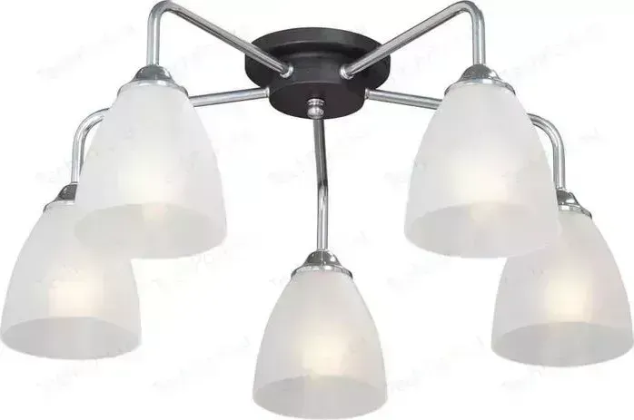 Потолочная люстра Vitaluce V4500-9/5PL