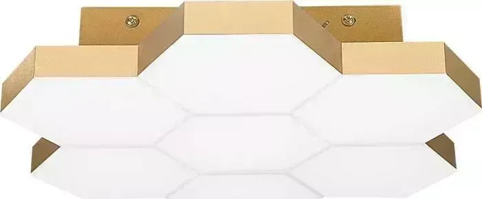 Потолочный светодиодный светильник Lightstar 750071