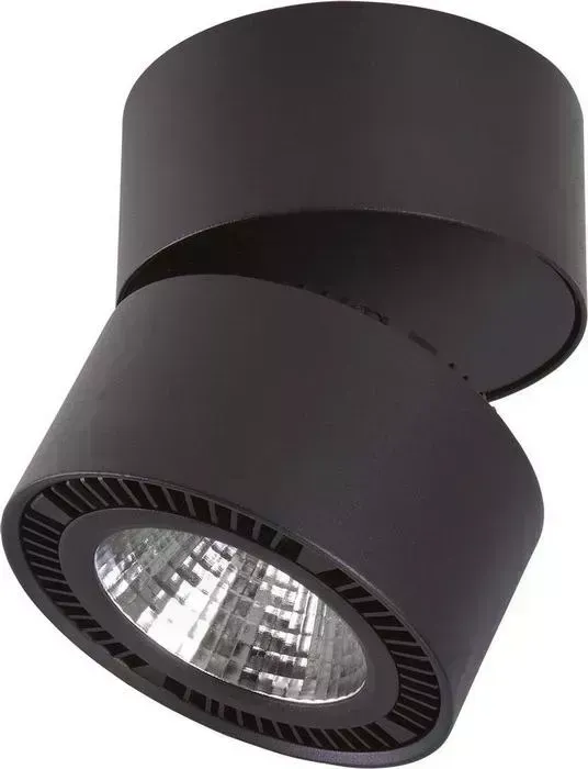 Светодиодный спот Lightstar 213817