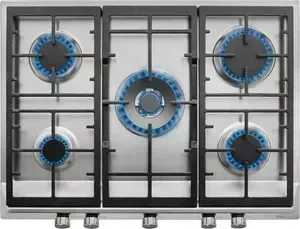 Панель варочная газовая TEKA EX/70.1 5G AI AL DR CI