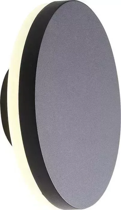 Уличный настенный светодиодный светильник ST-Luce SL087.401.01