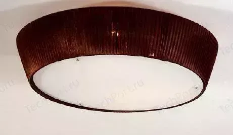 Потолочный светильник Citilux CL913142