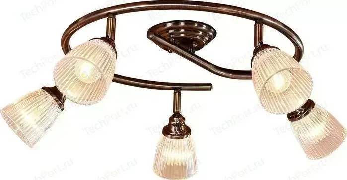 Спот Citilux CL539551