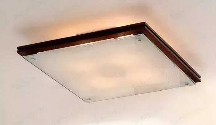 Потолочный светильник Citilux CL938541