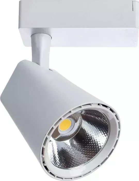 Трековый светодиодный светильник ARTELAMP A1821PL-1WH