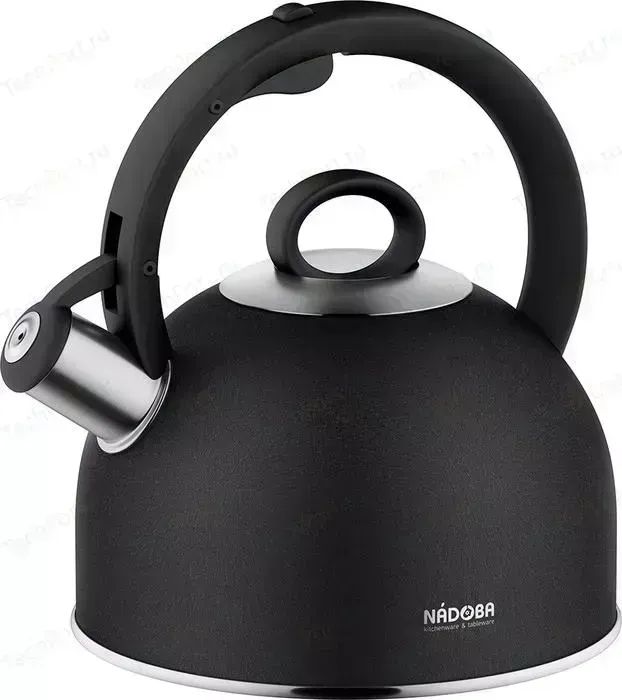 Чайник Nadoba 2.5 л Anesa (731202)