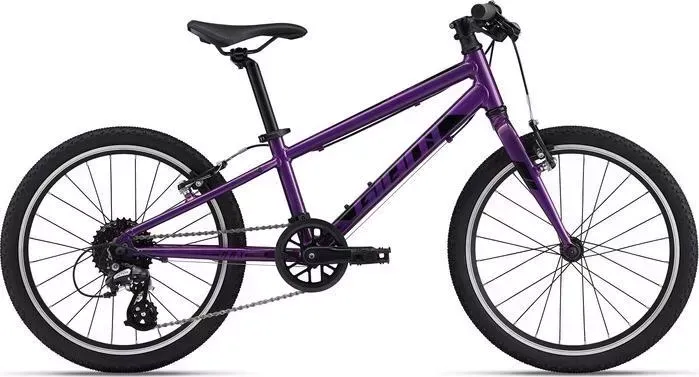 Велосипед Giant ARX 20 Purple