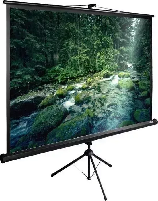 Экран CACTUS 165x220 см TriExpert CS-PSTE-220x165-BK (CS-PSTE-220X165-BK)