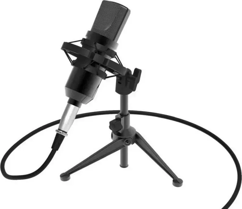 Микрофон RITMIX RDM-160 черный