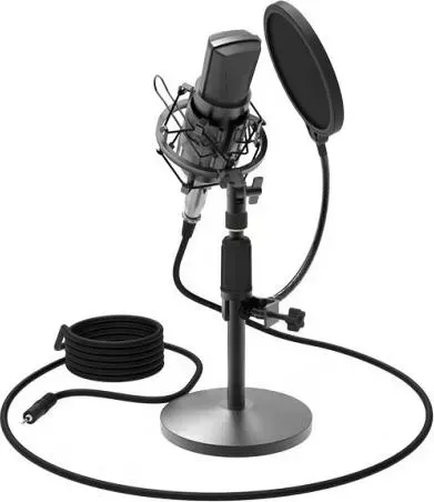 Микрофон RITMIX RDM-175 черный