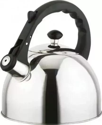 Чайник для плиты Teco TC-118