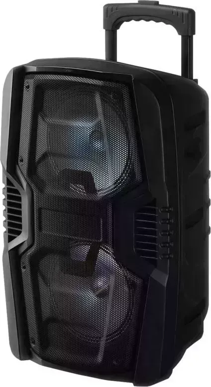 Портативная акустика National NSM-V 250