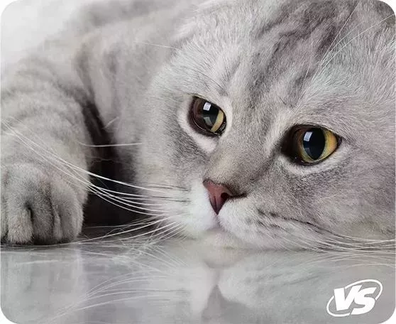 Коврик для мыши CAT VS Рис.2 (VS-B4646)