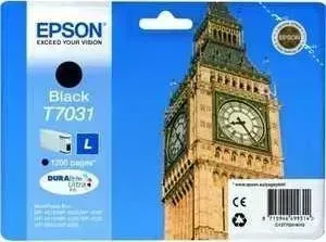 Картридж EPSON C13T70314010