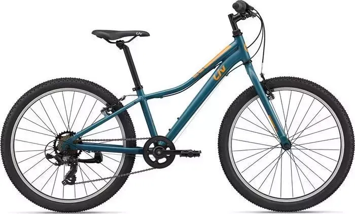 Велосипед Liv Enchant 24 Lite Gray Blue