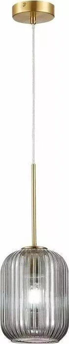Светильник ST-Luce Подвесной Gran SL1154.323.01